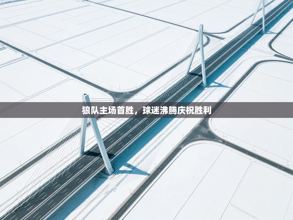 狼队主场首胜，球迷沸腾庆祝胜利