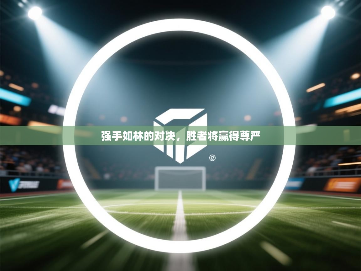 强手如林的对决,胜者将赢得尊严 第1张