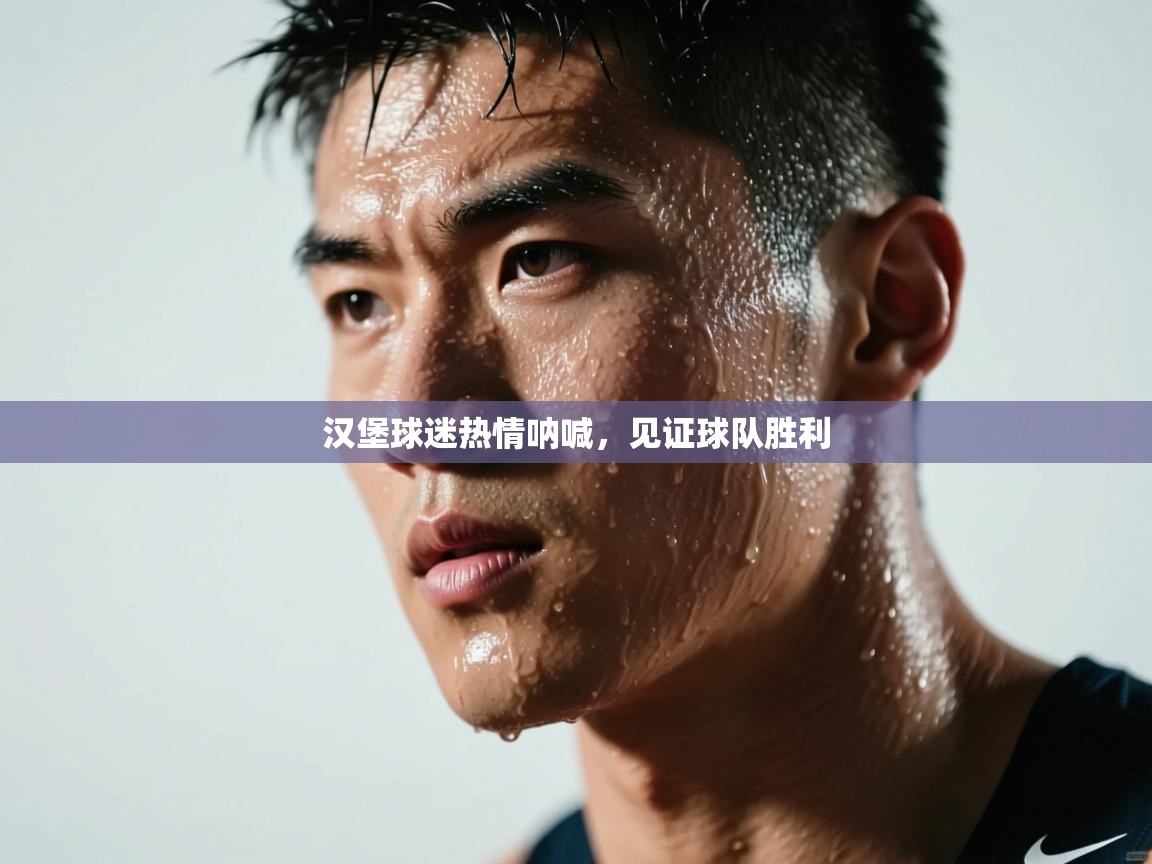 汉堡球迷热情呐喊，见证球队胜利  第2张